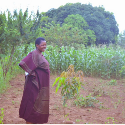 Ugandan Farmer Ends Food Scarcity for Her Family and Community