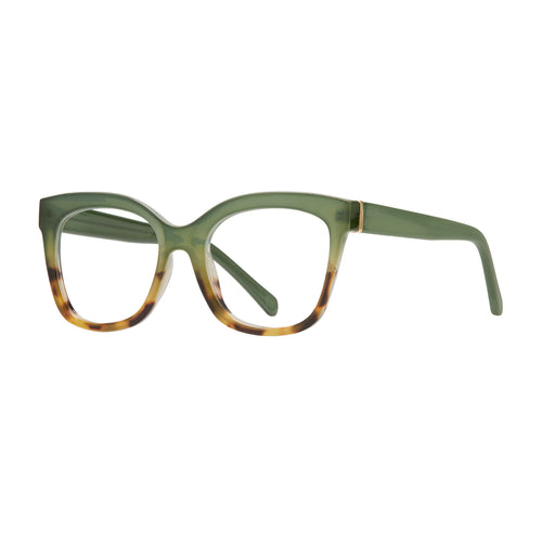 MORGAN BLUE LIGHT READERS