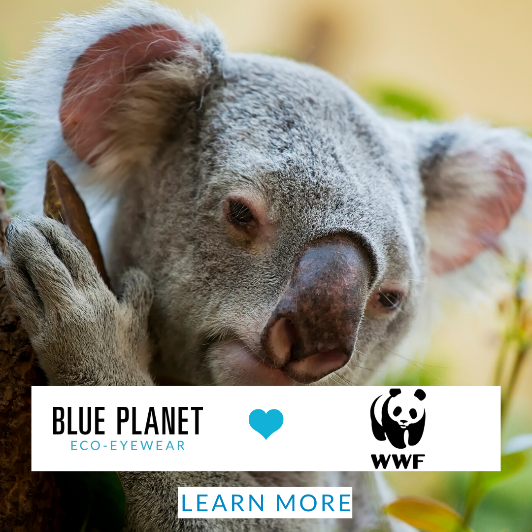 Help Support The Australian Bushfire Emergency