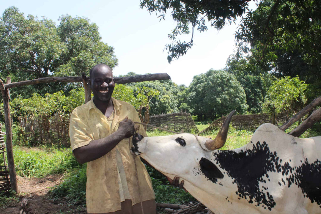 Revolutionizing Farming in Mali: How Forest Gardening is Transforming Lives