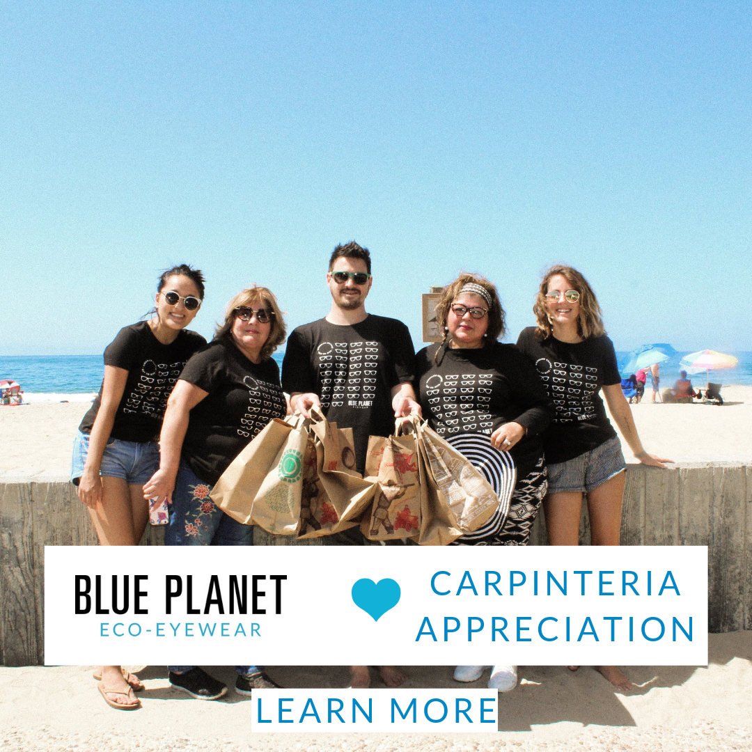 Cleaning up our local Beach!