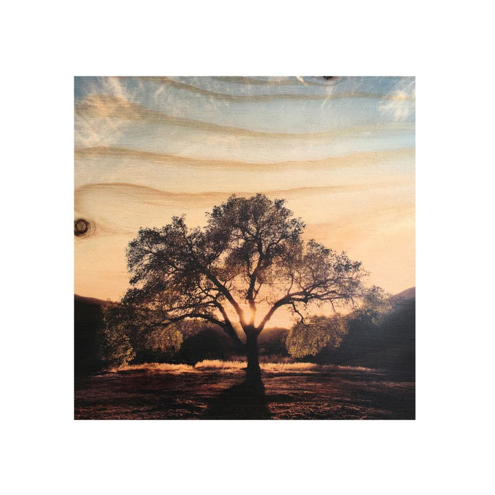 OAK MAGNET