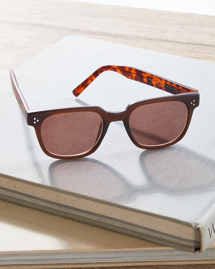 ADEN SUNGLASS TINTED READERS