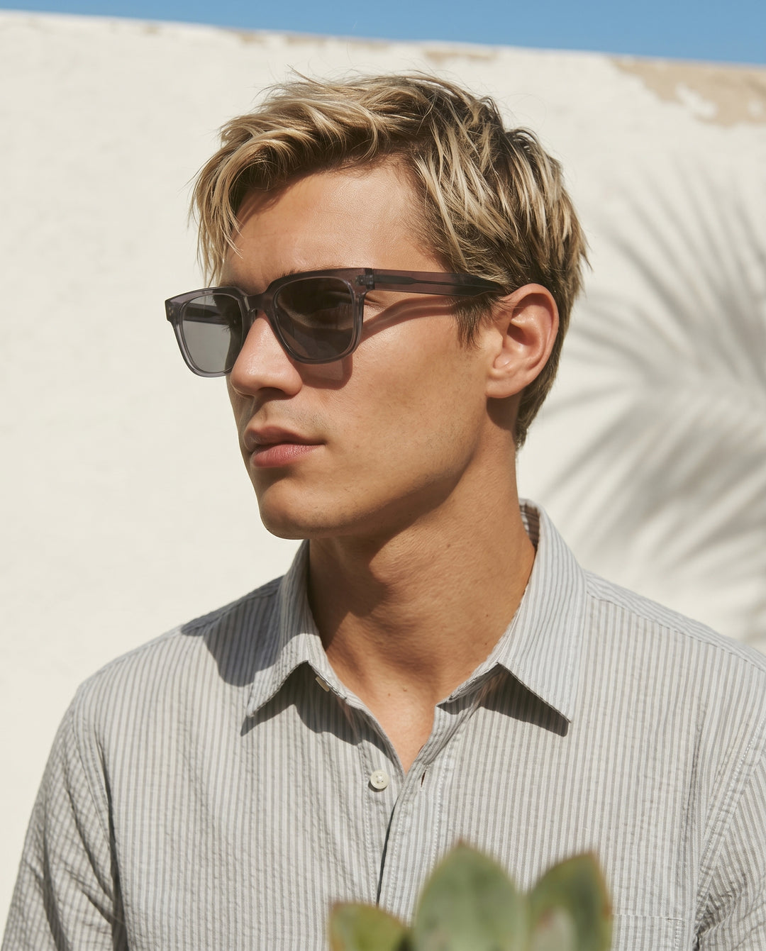 ADEN SUNGLASS TINTED READERS