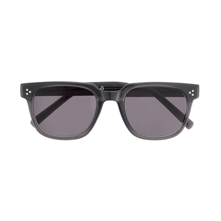 ADEN SUNGLASS TINTED READERS