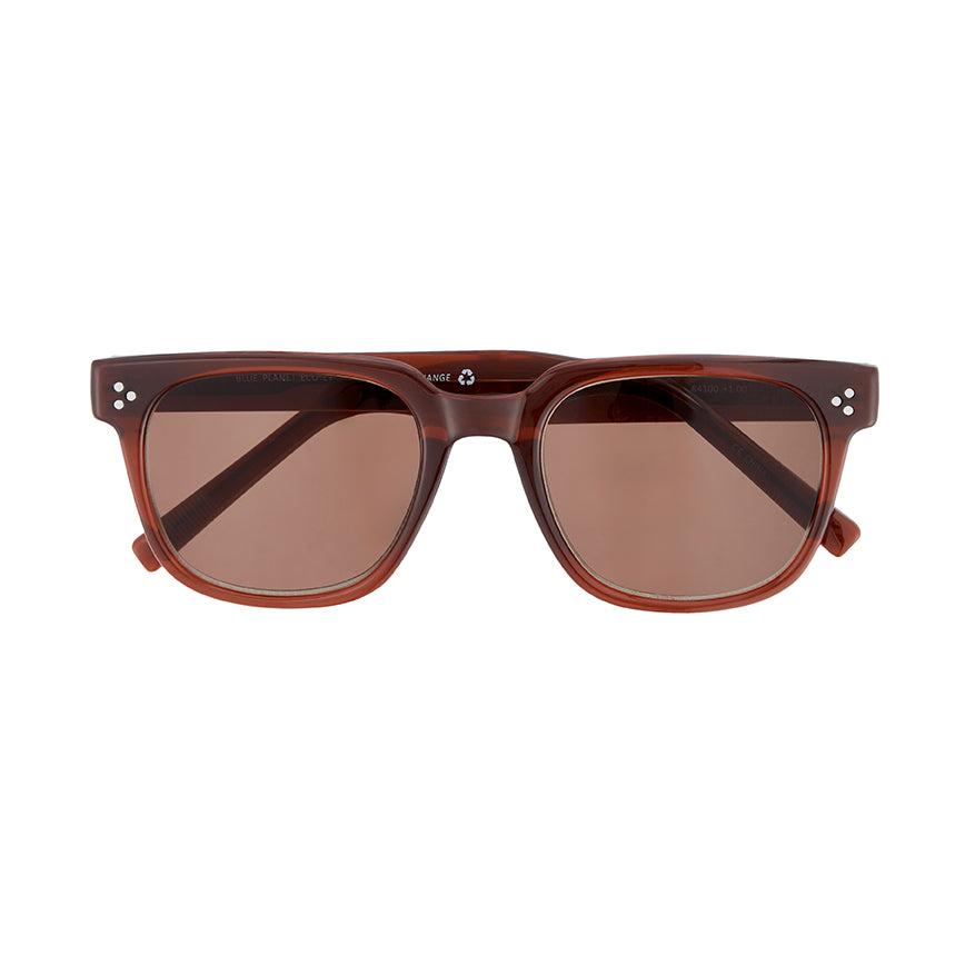 ADEN SUNGLASS TINTED READERS