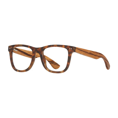 ALDEN BLUE LIGHT READERS