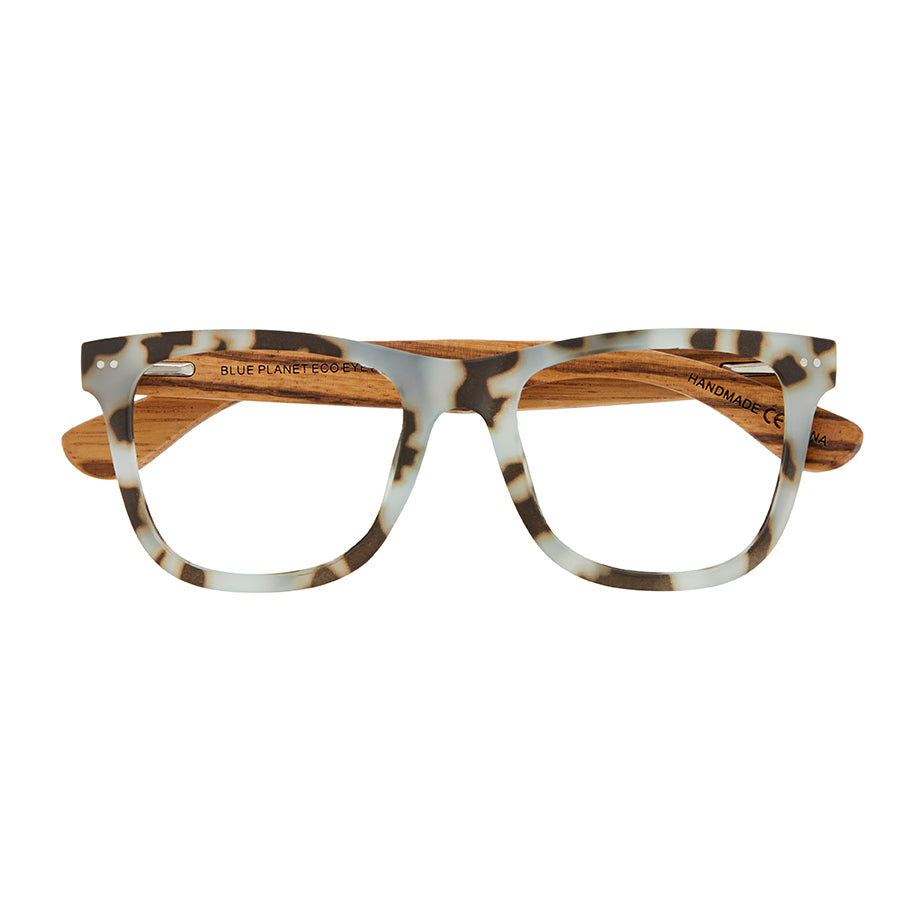 ALDEN BLUE LIGHT READERS
