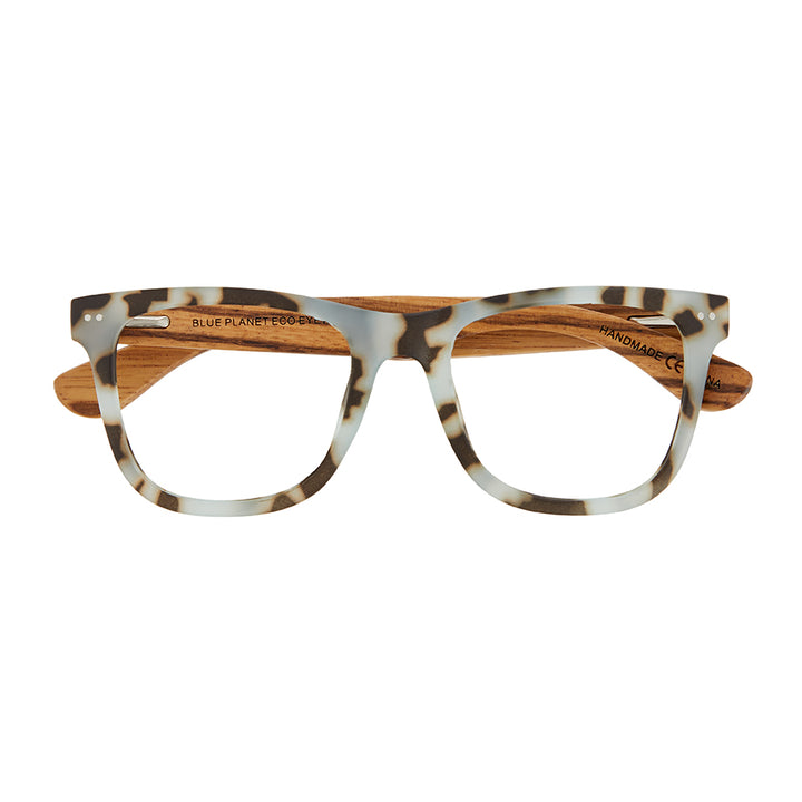 ALDEN BLUE LIGHT READERS