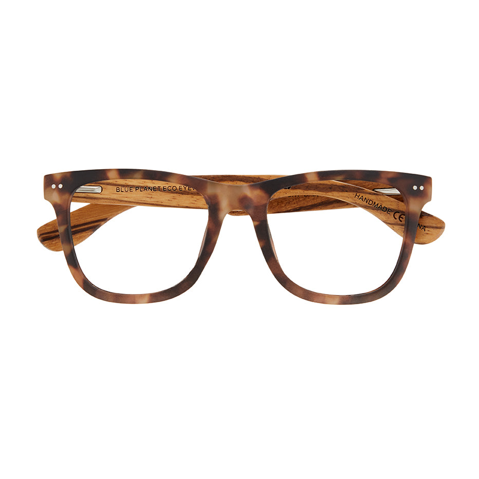 ALDEN BLUE LIGHT READERS