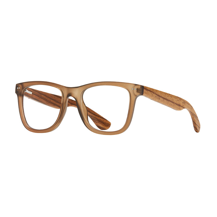 ALDEN BLUE LIGHT READERS