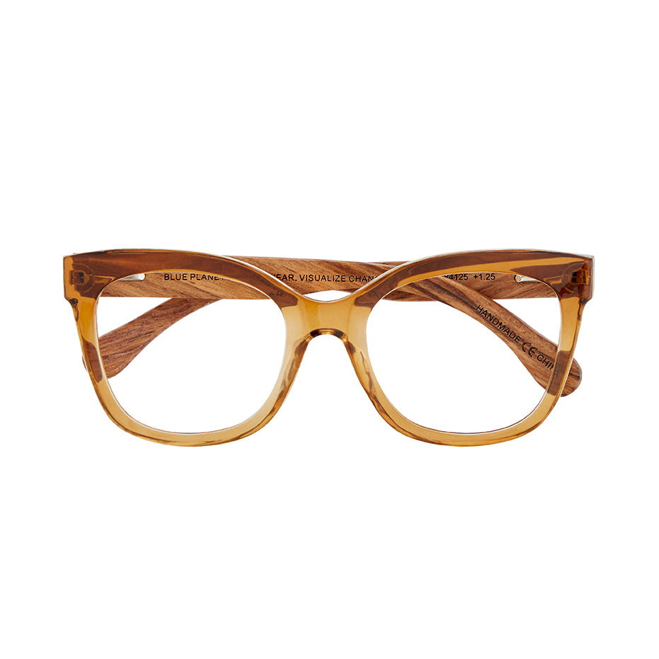 AMELIA BLUE LIGHT READERS