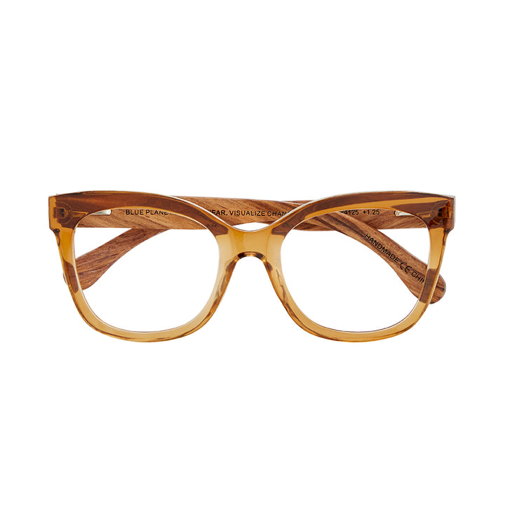 AMELIA BLUE LIGHT READERS