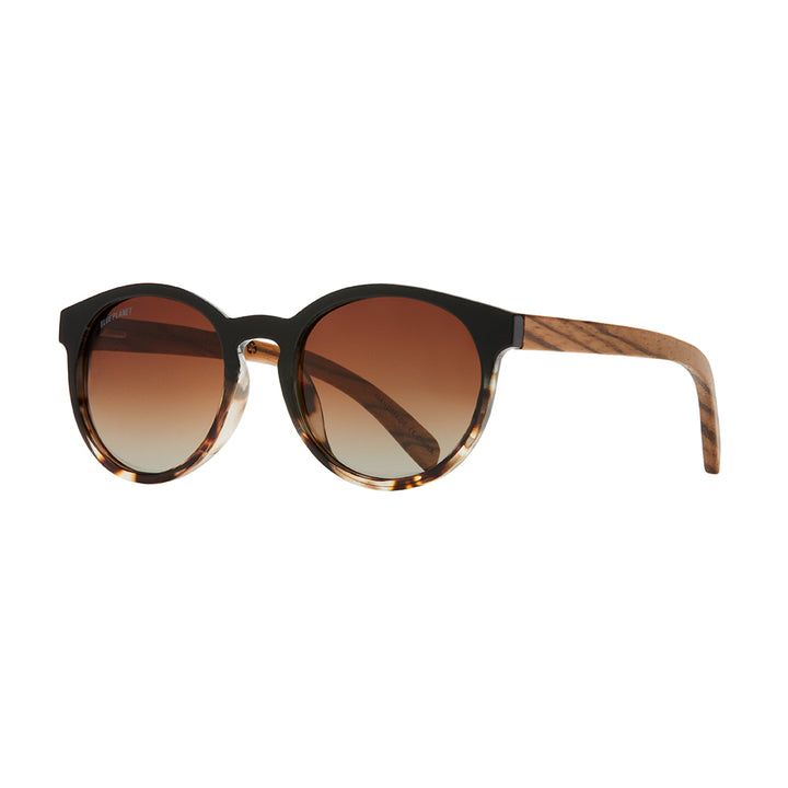 ANDIZ POLARIZED SUNGLASSES