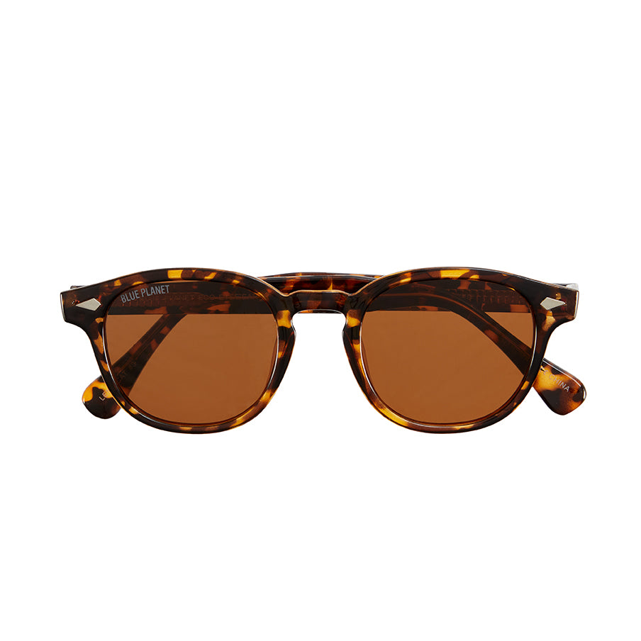 COLE POLARIZED SUNGLASSES