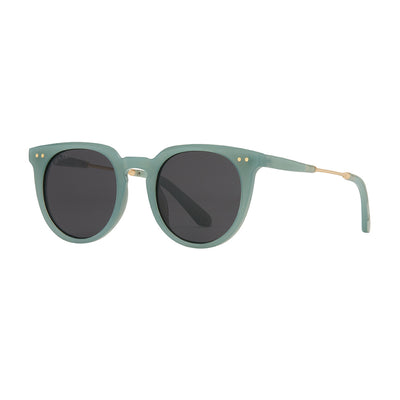 COVE POLARIZED SUNGLASSES