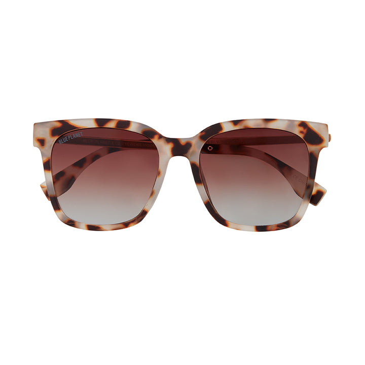 EVERLY POLARIZED SUNGLASSES