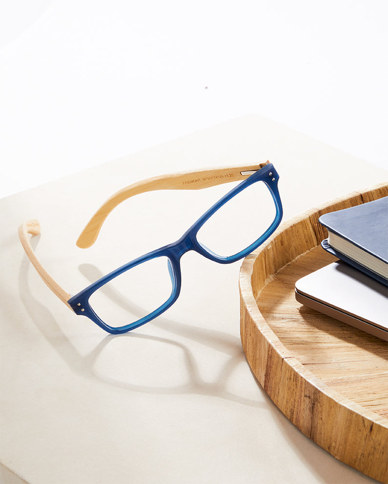 FREMONT BLUE LIGHT READERS
