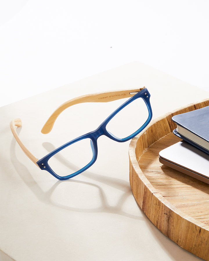 FREMONT BLUE LIGHT READERS