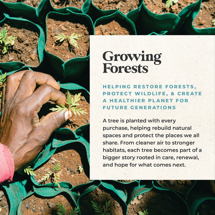 HARPER SUNGLASS TINTED READERS
