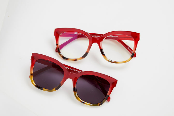 MORGAN BLUE LIGHT READERS