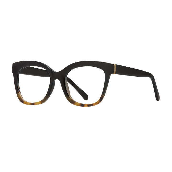 MORGAN BLUE LIGHT READERS