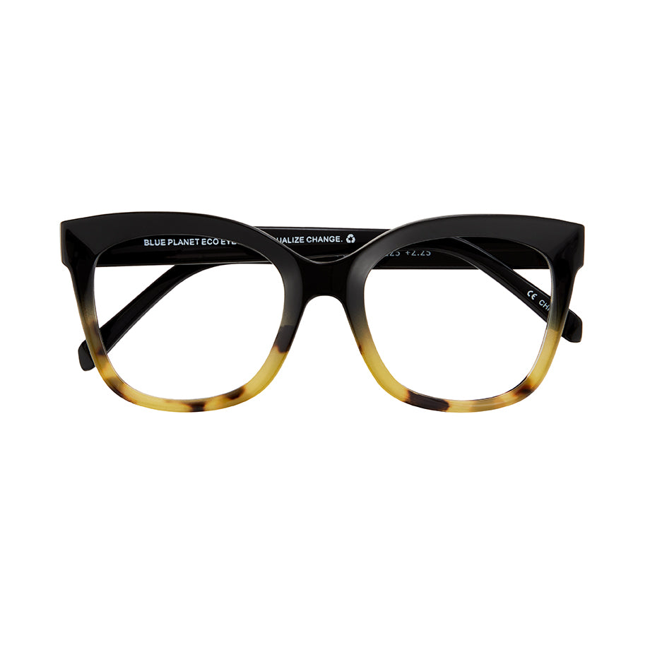MORGAN BLUE LIGHT READER 4 PACK