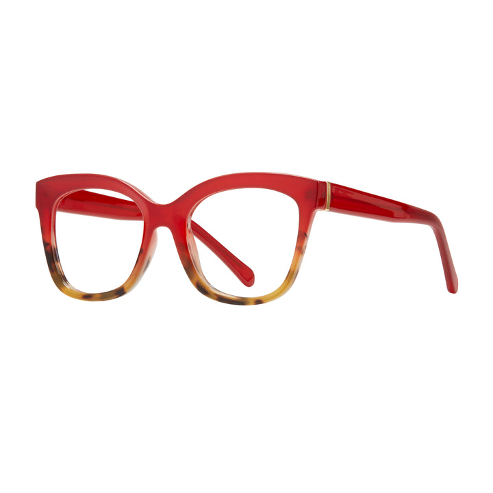 MORGAN BLUE LIGHT READERS