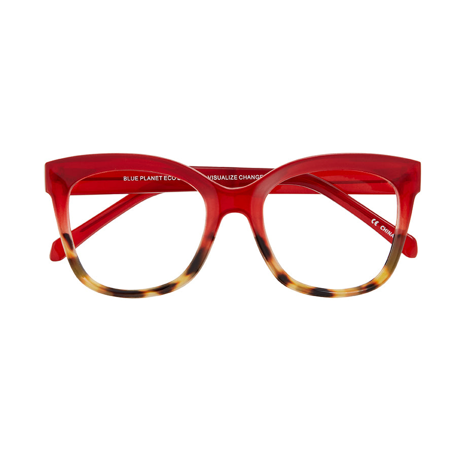 MORGAN BLUE LIGHT READERS
