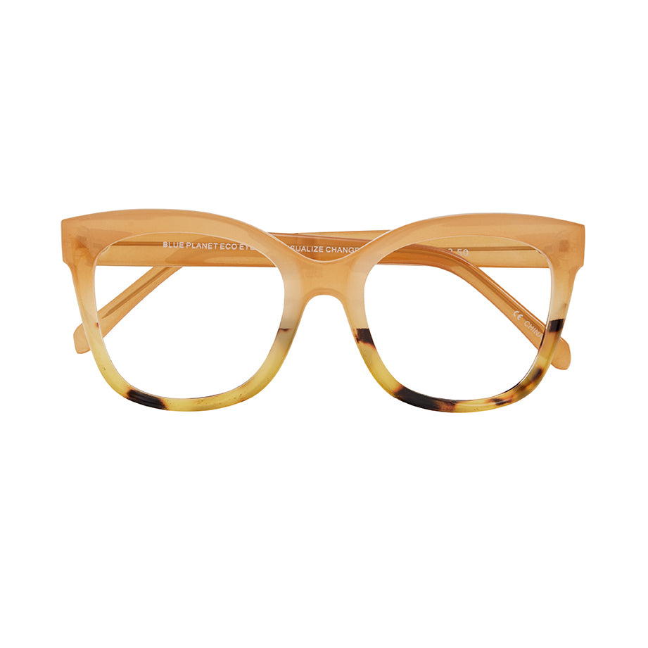 MORGAN BLUE LIGHT READERS