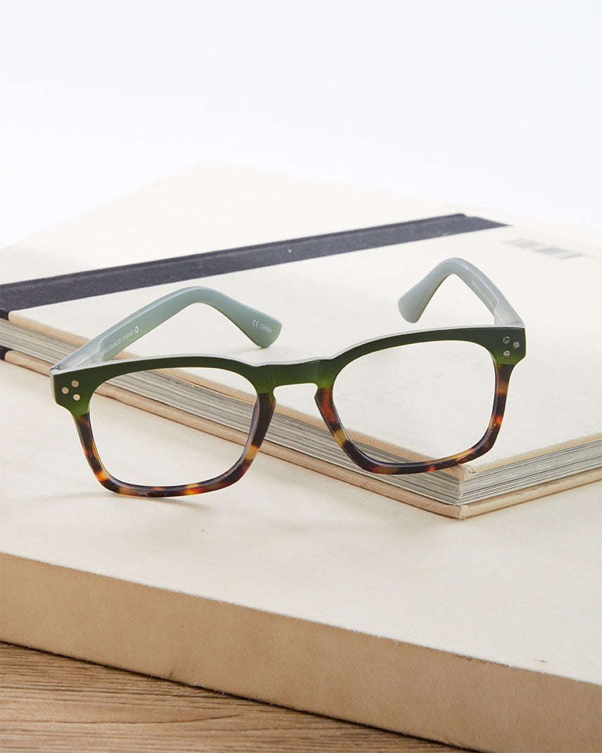 PARKER BLUE LIGHT READERS