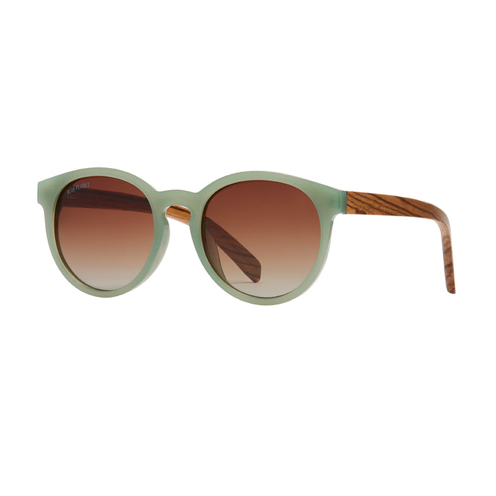REAGAN POLARIZED SUNGLASSES
