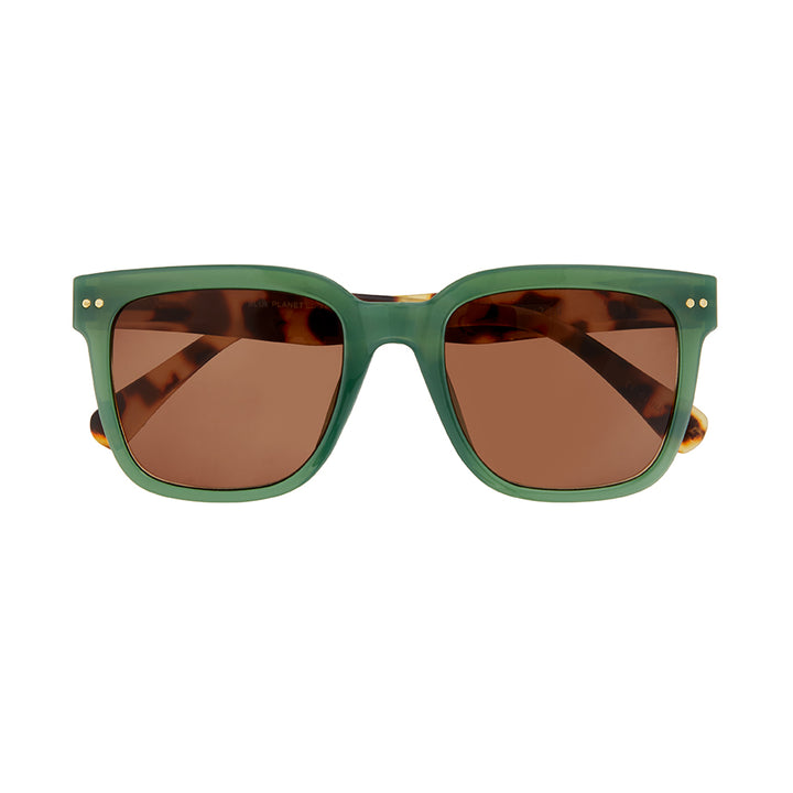 REECE SUNGLASS TINTED READERS