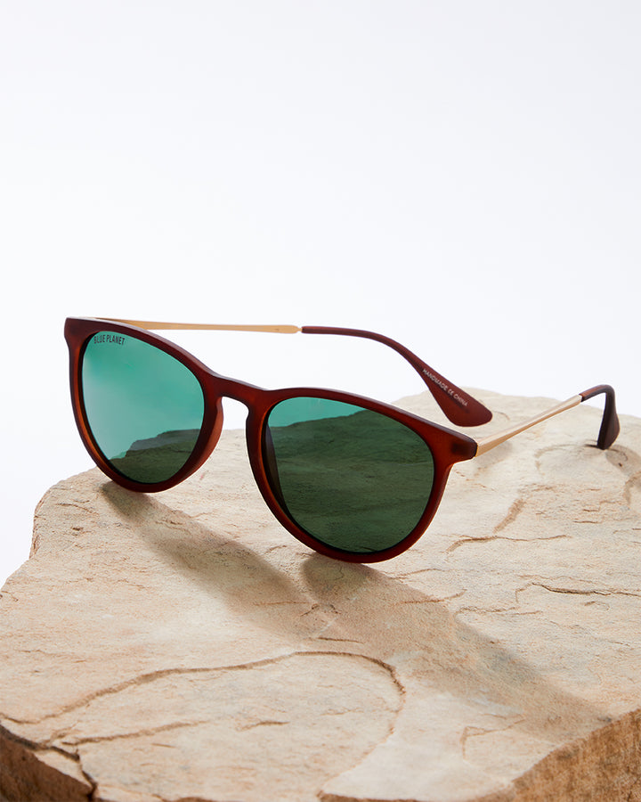 REEF POLARIZED SUNGLASSES