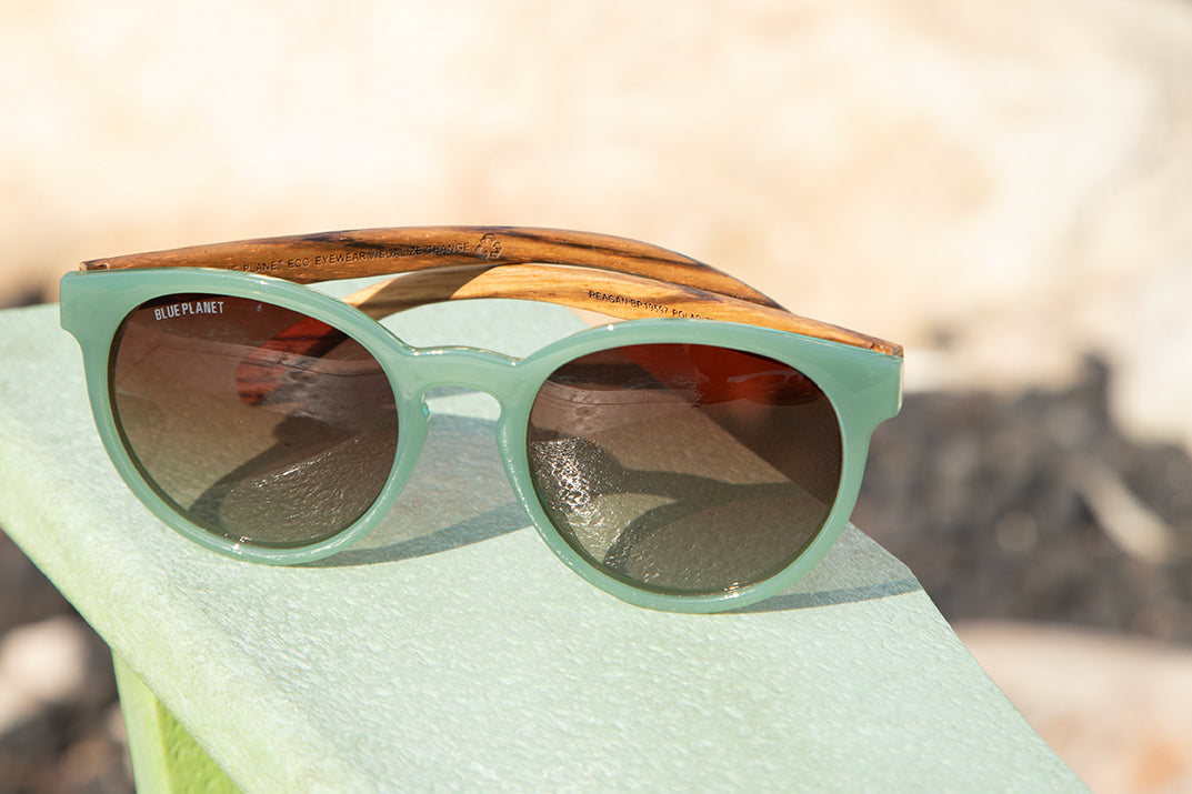 REAGAN POLARIZED SUNGLASSES