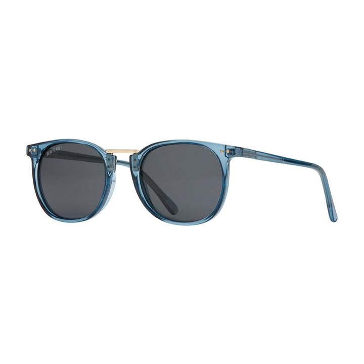 THEO POLARIZED SUNGLASSES