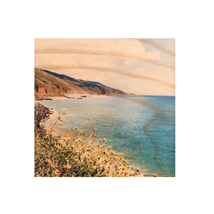 SPRING PCH MAGNET