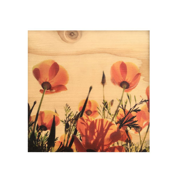POPPIES MAGNET