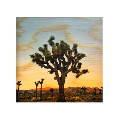 JOSHUA TREE MAGNET