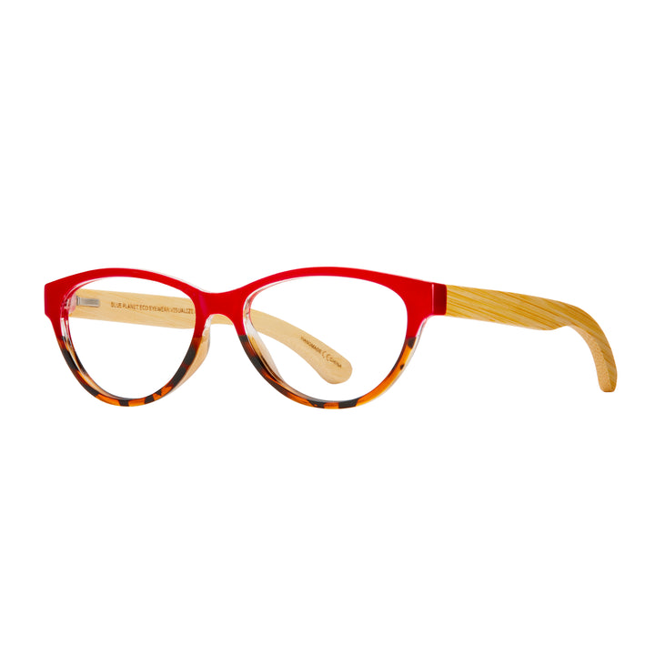 LUCIA READER - 4 PACK